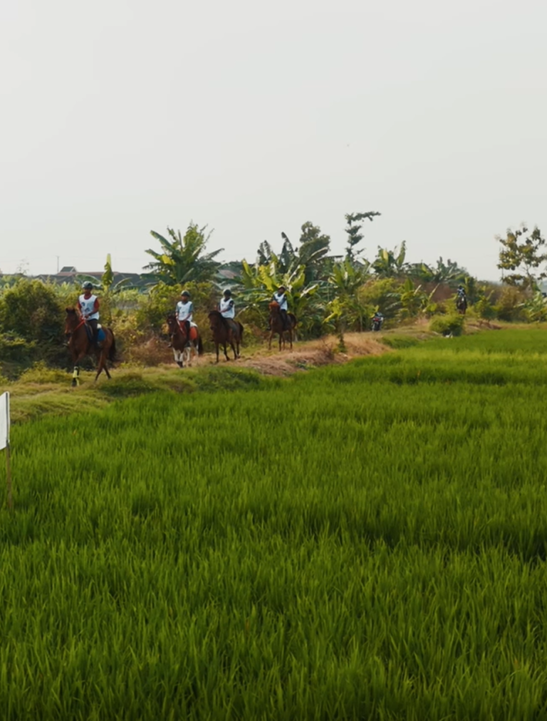 Screenshot 2025-08-23 234645 1