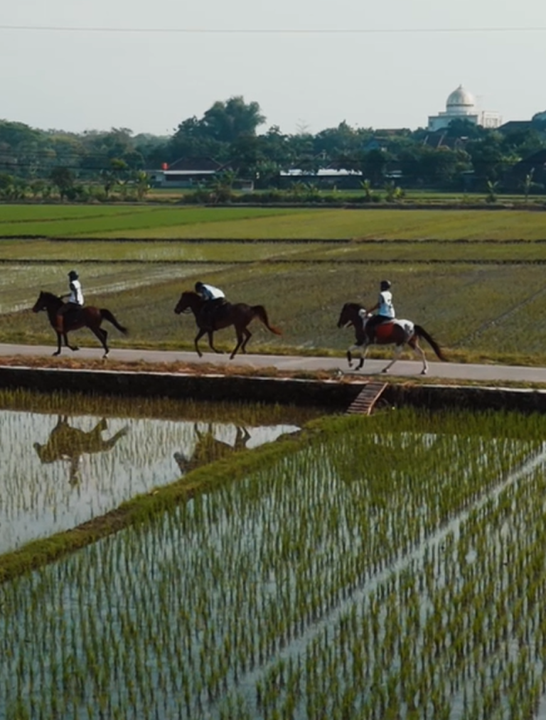 Screenshot 2025-08-23 234701 1