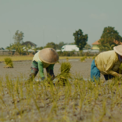 Screenshot 2025-08-23 165851