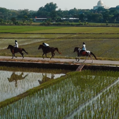 Screenshot 2025-08-23 234701 1